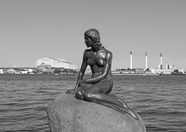 Statue of the Little Mermaid at the Waterside of Langelinie Promenade, Copenhagen, Denmark in Monochrome