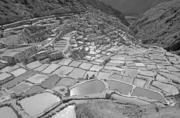 Immagine Monocromatica Salineras Maras Una Storica Miniera Sale Nel Canyon — Foto Stock