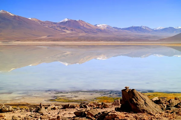 Laguna Blanca White Lake Eduardo Avaroa Andean Fauna National Reserve — 스톡 사진