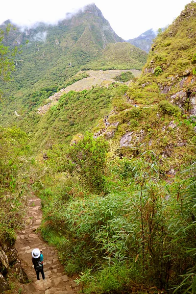 Visiteur Femelle Photographiant Des Ruines Citadelle Machu Picchu Incas Depuis — Photo