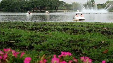 Şehir Gölü 'nün görüntüsü. Bir grup insan yüzgeçli botların keyfini çıkarıyor.