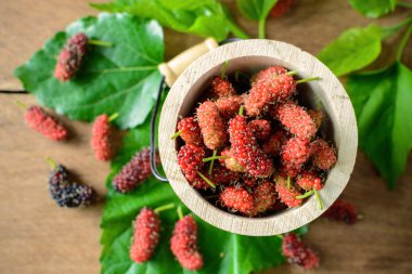 Yeşil yaprakları ile küçük kova içinde olgunlaşmış dut