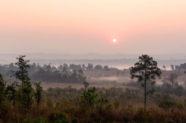 güneş ışığı ve valley adlı sabah sis