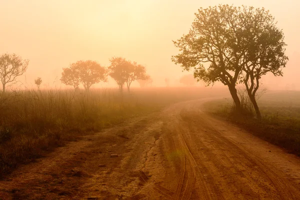 Δρόμο καμπύλη στην κοιλάδα με την Ανατολή του ηλίου και ομίχλη — Φωτογραφία Αρχείου