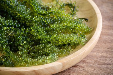 Deniz üzüm (Caulerpa Lentillifera) yosun