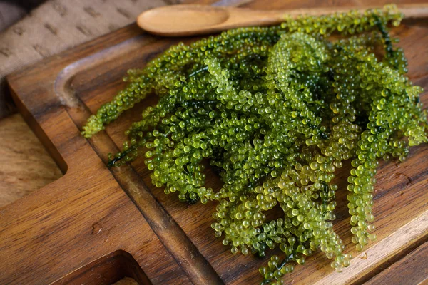 Водорості морські винограду (Caulerpa Lentillifera) — стокове фото