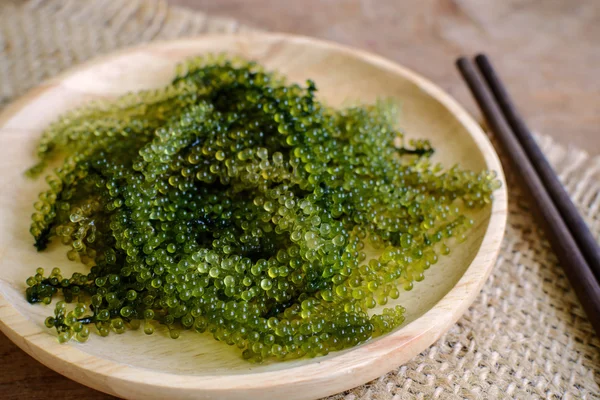 Deniz üzüm (Caulerpa Lentillifera) yosun