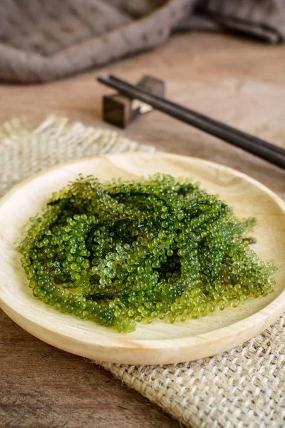 Водорості морські винограду (Caulerpa Lentillifera) — стокове фото