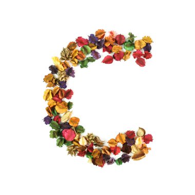 C, beyaz arka plan üzerinde izole kurutulmuş çiçek alfabesi