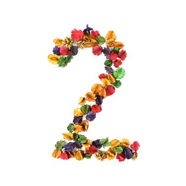 Alfabe sayı 2, izole kurutulmuş çiçek