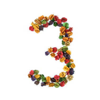 Alfabe sayısı 3, izole kurutulmuş çiçek