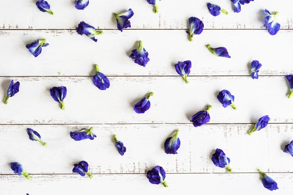 Ervilha borboleta ou flor de ervilha azul na mesa de madeira branca — Fotografia de Stock