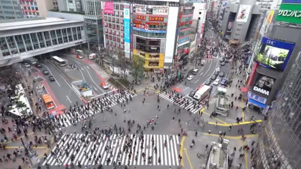 Tokyo Japan Lutego 2020 Tłumy Ludzi Przechodzących Przez Ulicę Przy — Wideo stockowe