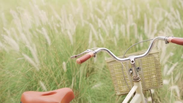 清新的一天 在花田里骑着老式的自行车 — 图库视频影像