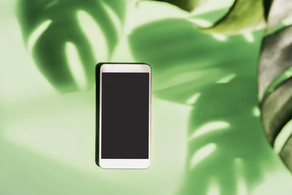 Empty screen smart phone with shadow of tropical green leave on color background with copy space, Top view