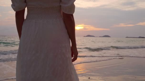 Молодая Женщина Путешественник Держа Руку Мужчины Глядя Красивый Закат Пляже — стоковое видео