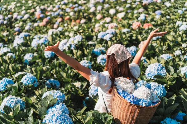 Jeune Femme Voyageur Relaxant Profiter Avec Fleurs Hortensias Champ Fleurs — Photo