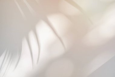 Beyaz arkaplanda plam izinlerinin gölgesi