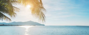 Tropikal plajda güneş ve mavi gökyüzü olan hindistan cevizi ağacı, yaz tatili konsepti, panorama