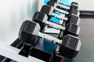 Bir spor salonunda bir raf üzerinde halter satırlar