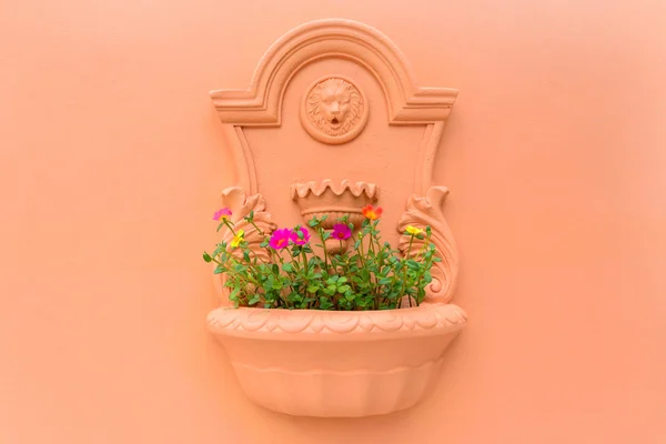 Blumentopf an der Wand — Stockfoto