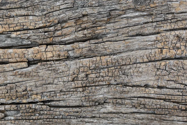 Old wood textured — Stock Photo, Image