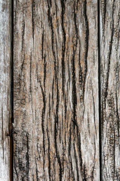 老木纹理 — 图库照片