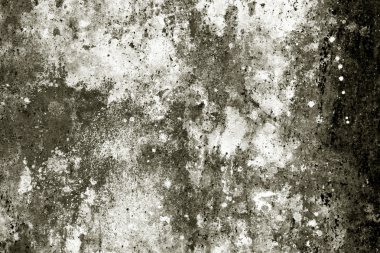 eski paslı duvar