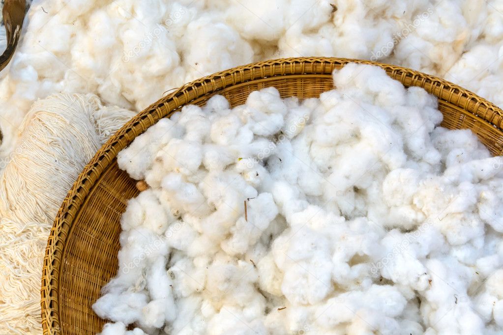 Cotton prepare for make cotton thread