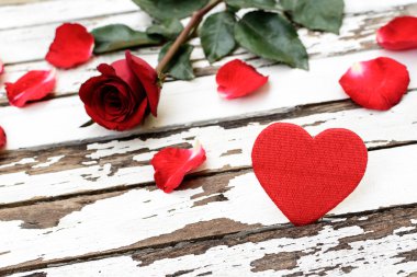 kalp şeklinde kırmızı gül 