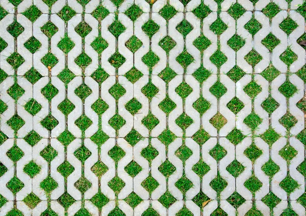 Geçit çimento tuğla ile yeşil çimen