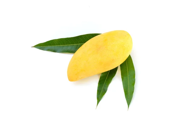 Yellow mango isolated — Stock Photo, Image