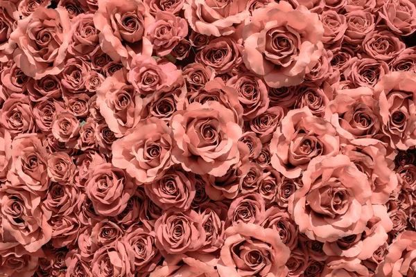 Rosas vermelhas — Fotografia de Stock