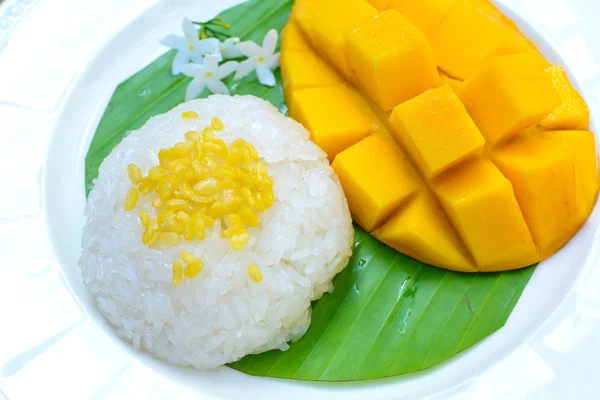 Ripe mango and sticky rice — Stock Photo, Image