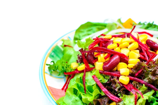 Primo piano dell'insalata fresca isolata — Foto Stock