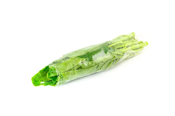 Sayuran kale segar cina dibungkus dalam film plastik terisolasi — Stok Foto