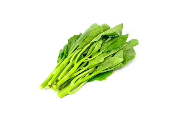 Fresh chinese kale vegetables isolated on white — Stock Photo, Image
