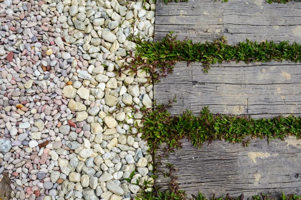 Ornament Stone footpath with pebble and grass — Stockfoto