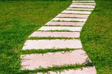 Gardening stone footpath with grass