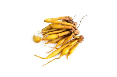 Beyaz arka plan üzerinde izole taze galingale