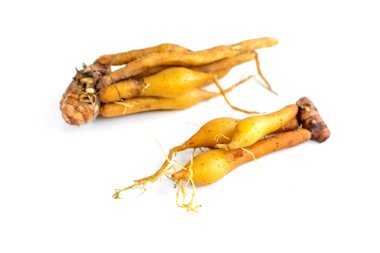 Beyaz arka plan üzerinde izole taze galingale