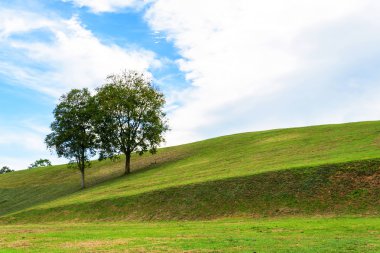 hüzünlü müzik arka plan alanıyla ağaçta