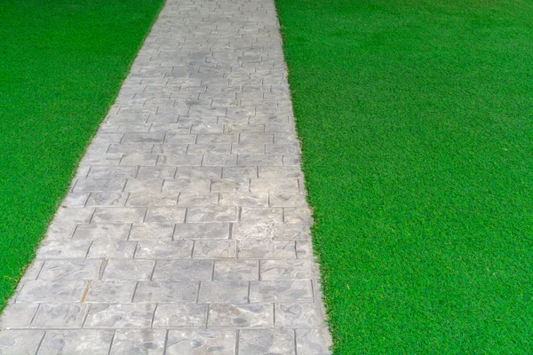 Ornament kamienny chodnik z kamienistej i trawy w ogrodzie — Zdjęcie stockowe
