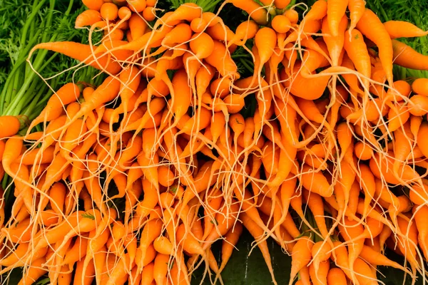 Fresh Baby carrots — Stock Photo, Image