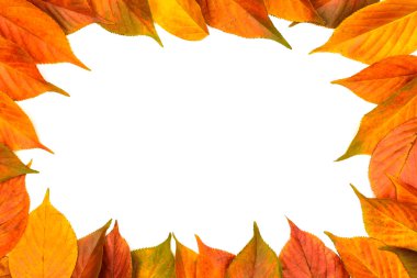 Beyaz arka plan üzerinde renkli çerçeve düşen sonbahar yaprakları