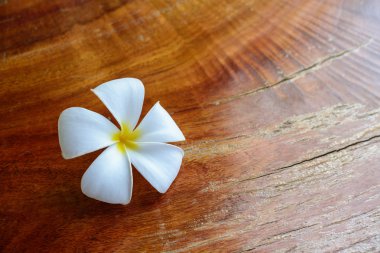 Beyaz çiçek eski ahşap tablo