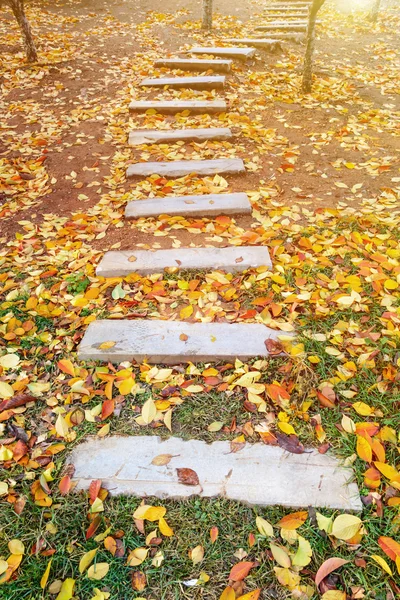Fußweg mit Herbstlaub fällt in den Garten — Stockfoto