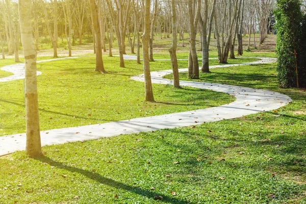 Gartenarbeit Steinweg mit Gras im Garten — Stockfoto