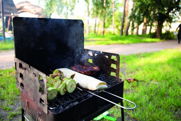 选择肉 蔬菜烧烤在煤之上 在一个便携式烧烤 户外绿草与彩色空间 — 图库照片