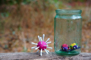 Cam kavanozdaki plastikten yapılmış iki uğur böceği. Virüsün bitişiğinde..